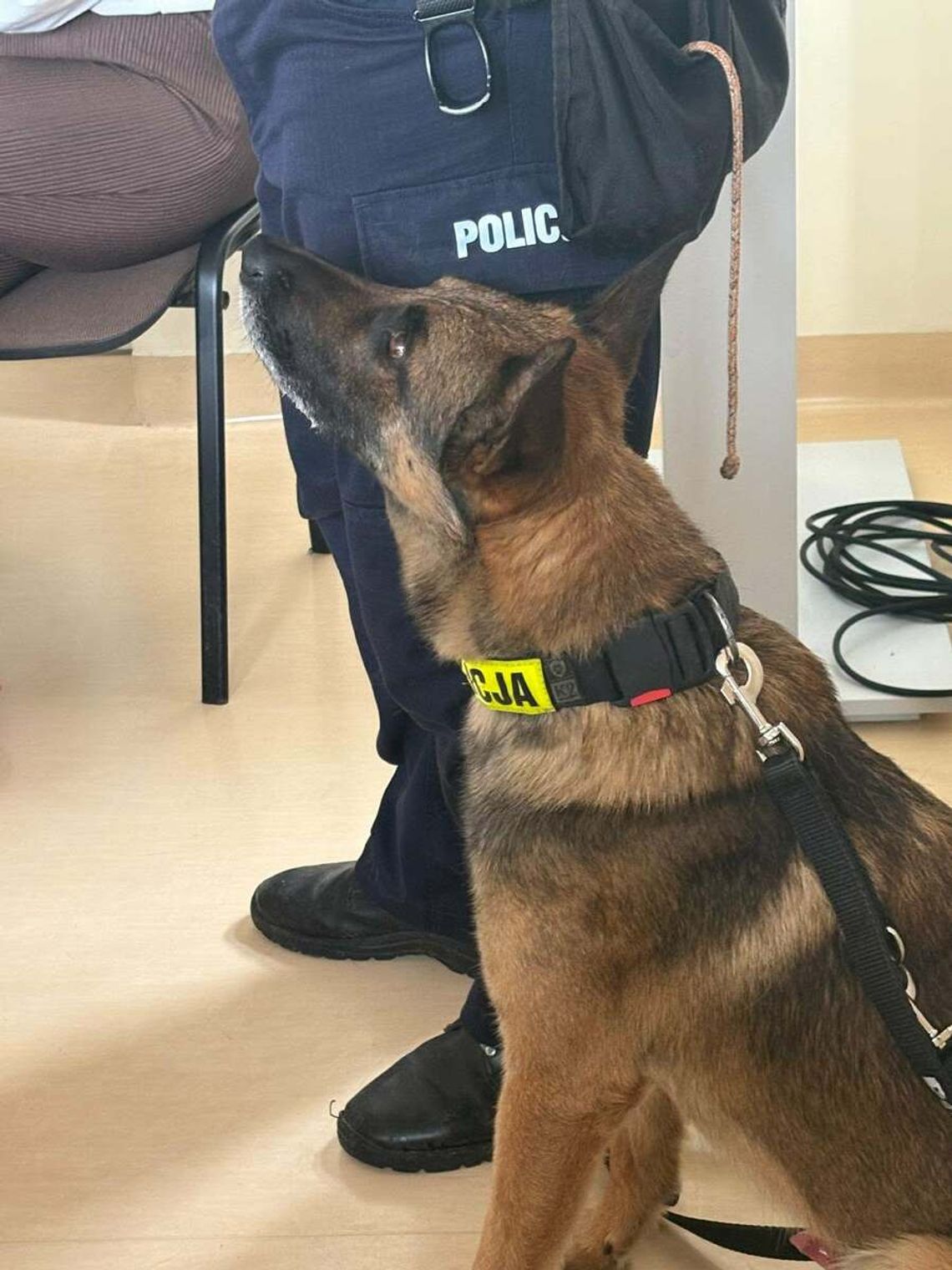 Maków Mazowiecki. Kilogram narkotyków, część w bieliźnie 68-latki Maków Mazowiecki. Kilogram narkotyków, część w bieliźnie 68-latki