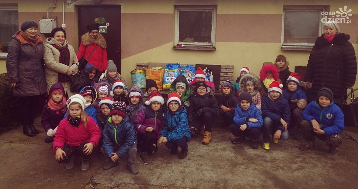 Mikołajki w Schronisku dla Zwierząt Bezdomnych w Pawłowie pod znakiem zapytania