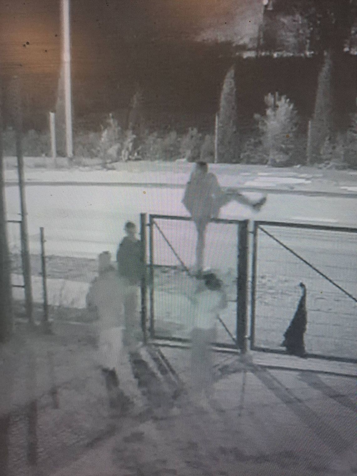 MKS Makowianka stawia ultimatum wandalom. Naprawią szkody, albo będą prawne konsekwencje MKS Makowianka stawia ultimatum wandalom. Naprawią szkody, albo będą prawne konsekwencje