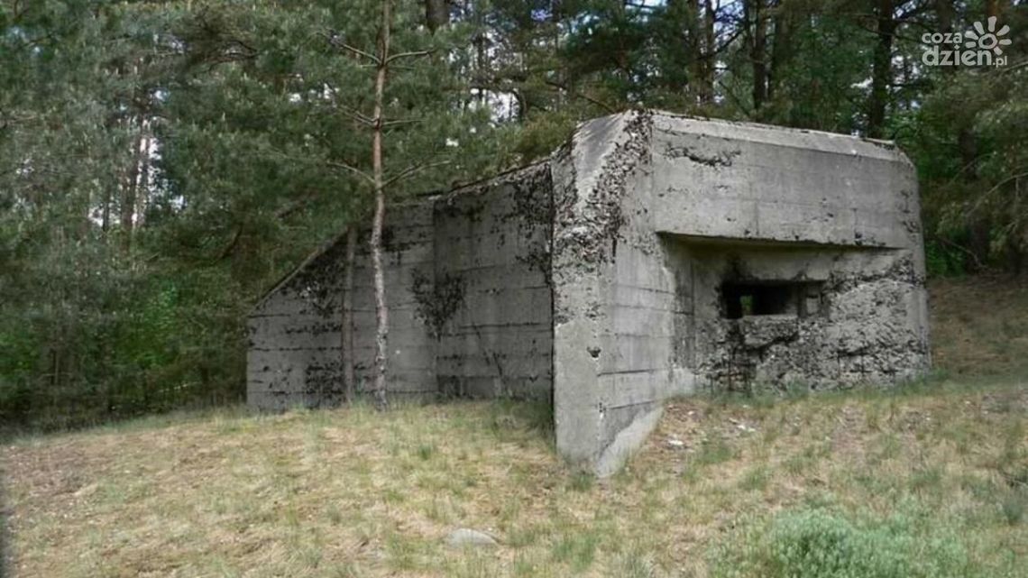 Mława na szlaku turystycznym? "Chcemy wykorzystać bunkry"
