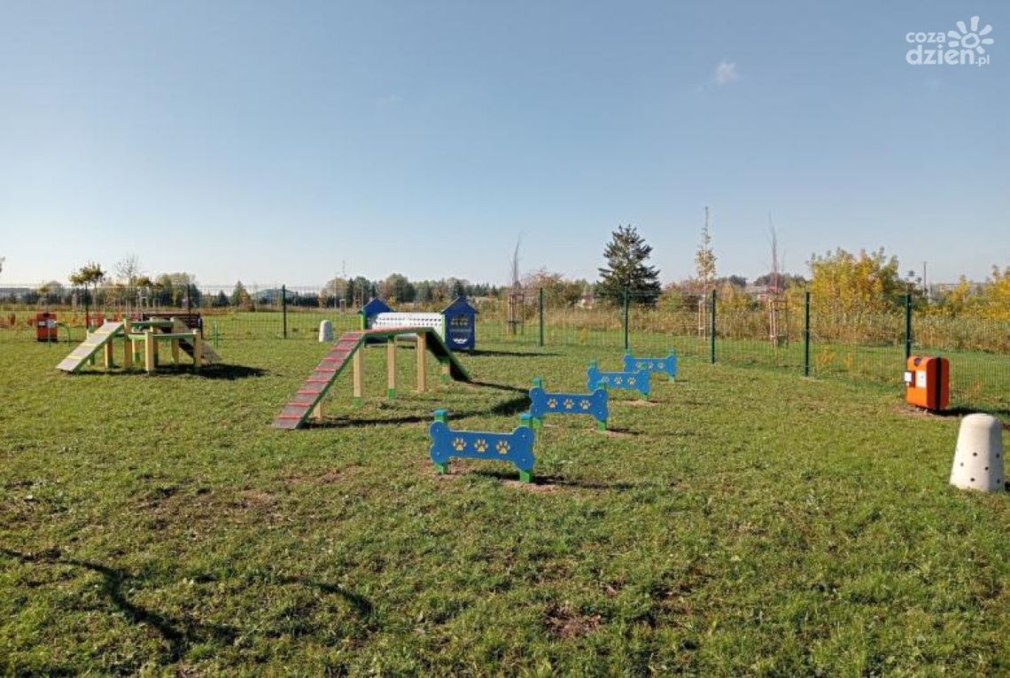Mława przebudowuje wybieg dla psów