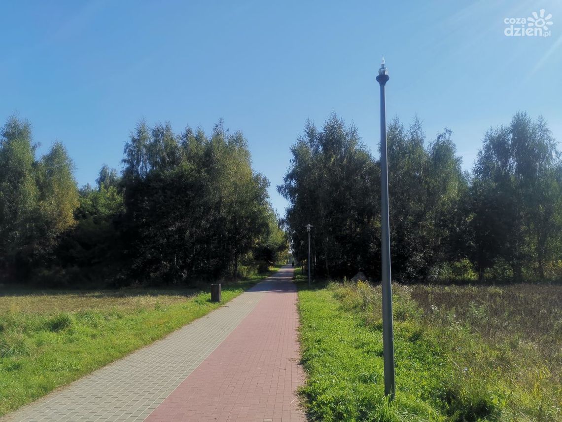 Monitoring między ul. Kolbego a Czarnieckiego w Ciechanowie? Jest na to szansa