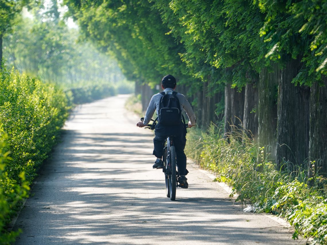 Mrożąca krew w żyłach podróż 13-latka. Z Warszawy pod Płońsk na BMX-ie, by poznać kogoś z sieci. Chłopiec jadący na rowerze typu BMX