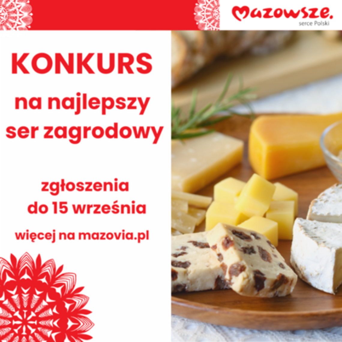 Najlepsze sery na Mazowszu poszukiwane