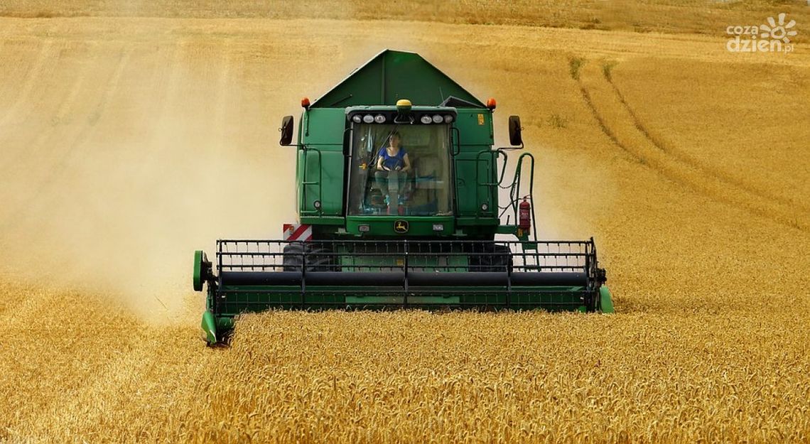 Nawet 150 tys. zł premii dla młodych rolników - wnioski do końca maja