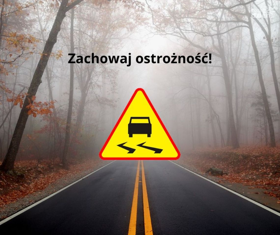 Nie dostosowanie prędkości do warunków drogowych - główna przyczyna wypadków na drogach