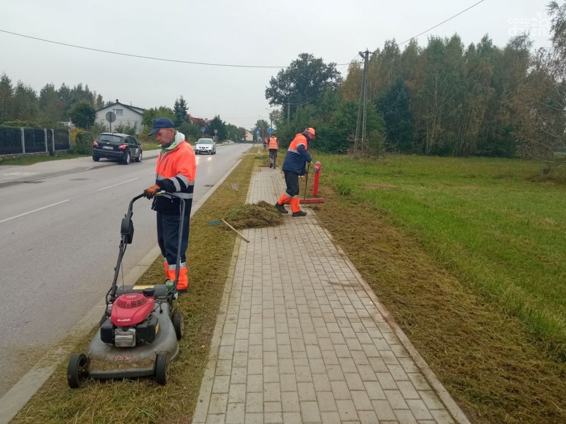 Nie szczędzą żyłki i ostrza- w powiecie trwają koszenia pasów zieleni