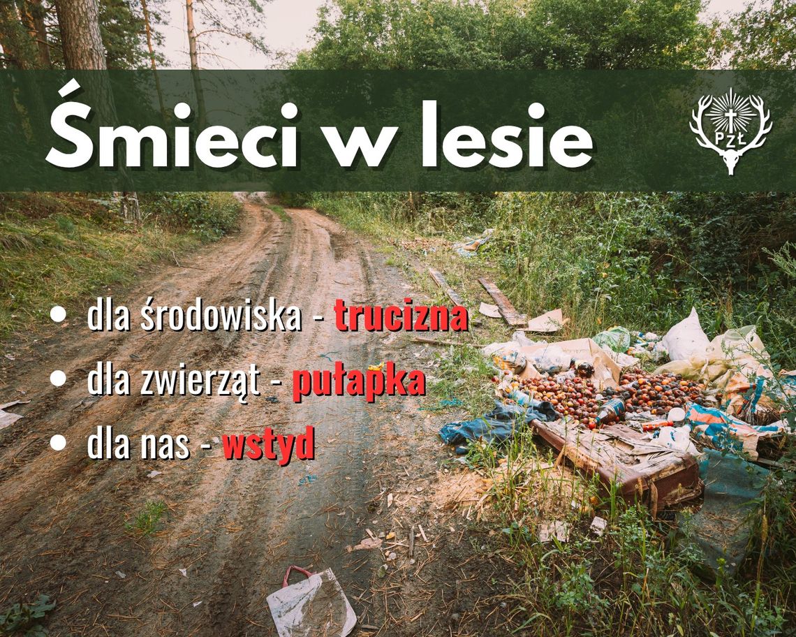 Nie zostawiaj śmieci w lesie! Zwierzęta cierpią przez ludzką bezmyślność