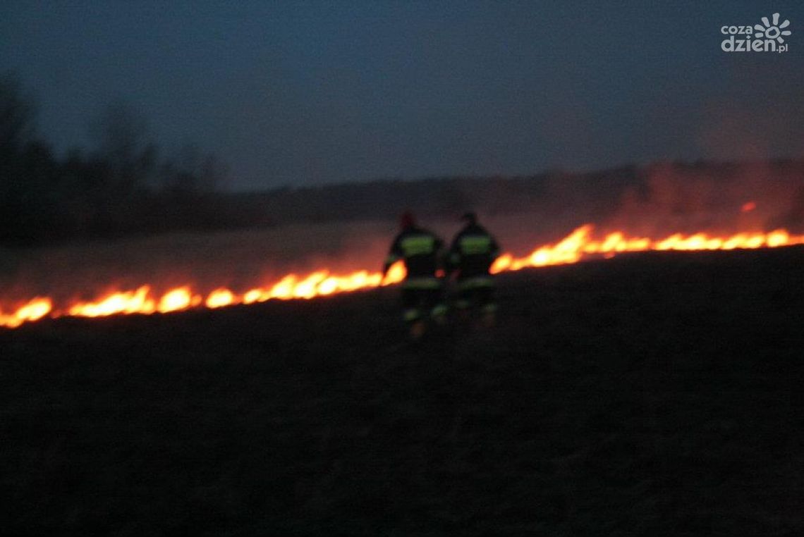 Niebezpiecznie w Dąbku, spłonęło kilkaset bel słomy 
