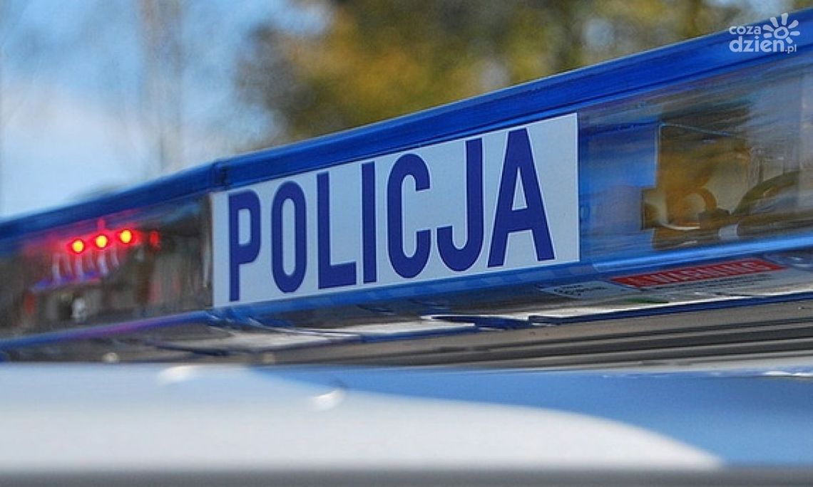 Niebezpieczny weekend pod Przasnyszem: Konary spadały na samochody! Policja zatrzymała też poszukiwanego