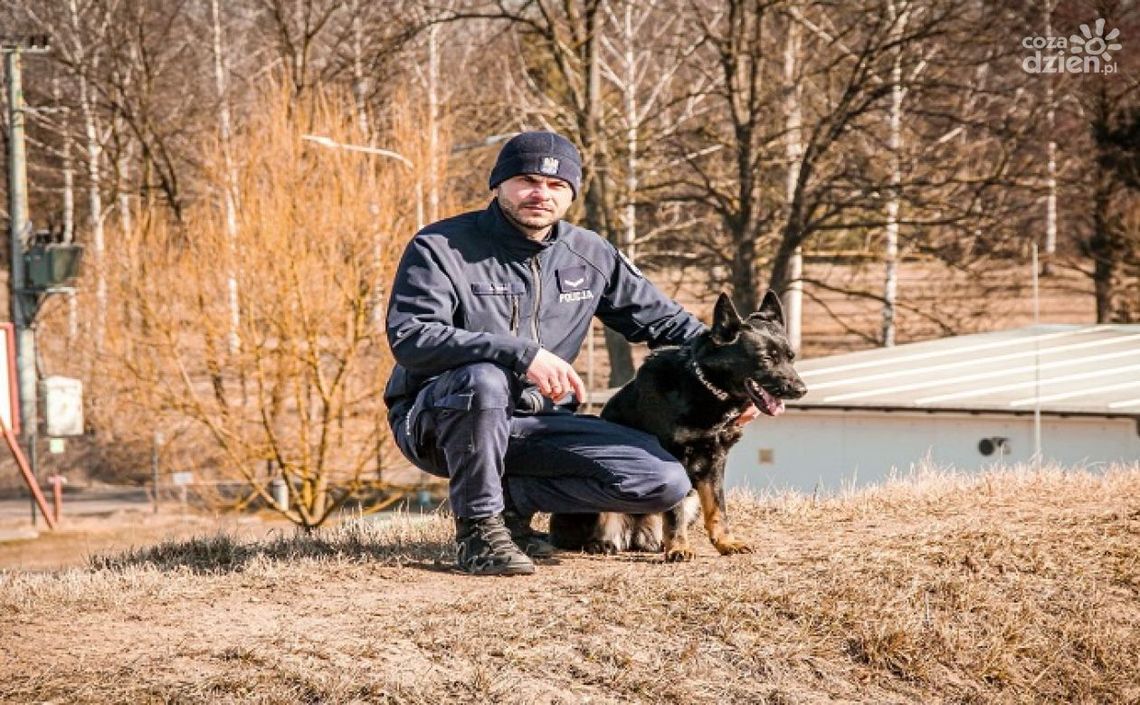  Niezawodni Partnerzy na Czterech Łapach - psy wspierają policję w Ciechanowie i okolicy