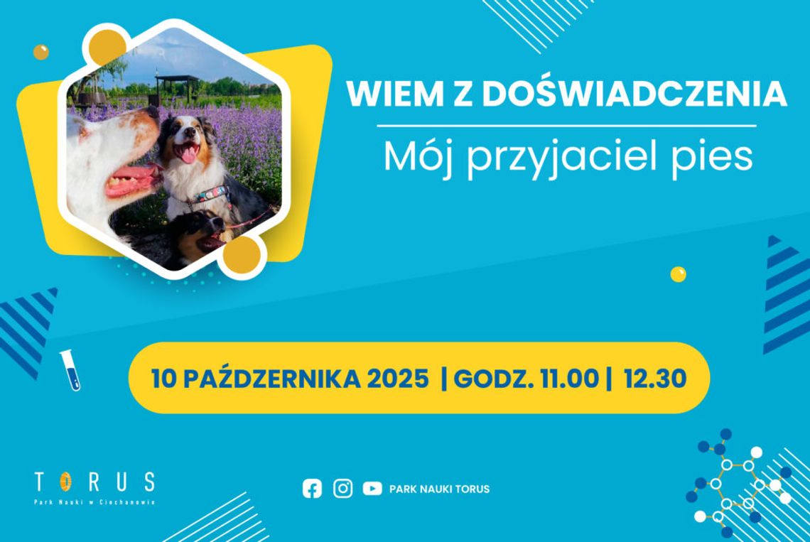 Niezwykłe Warsztaty w Torusie: "Mój Przyjaciel Pies" – Edukacja, Empatia i Wsparcie Emocjonalne!