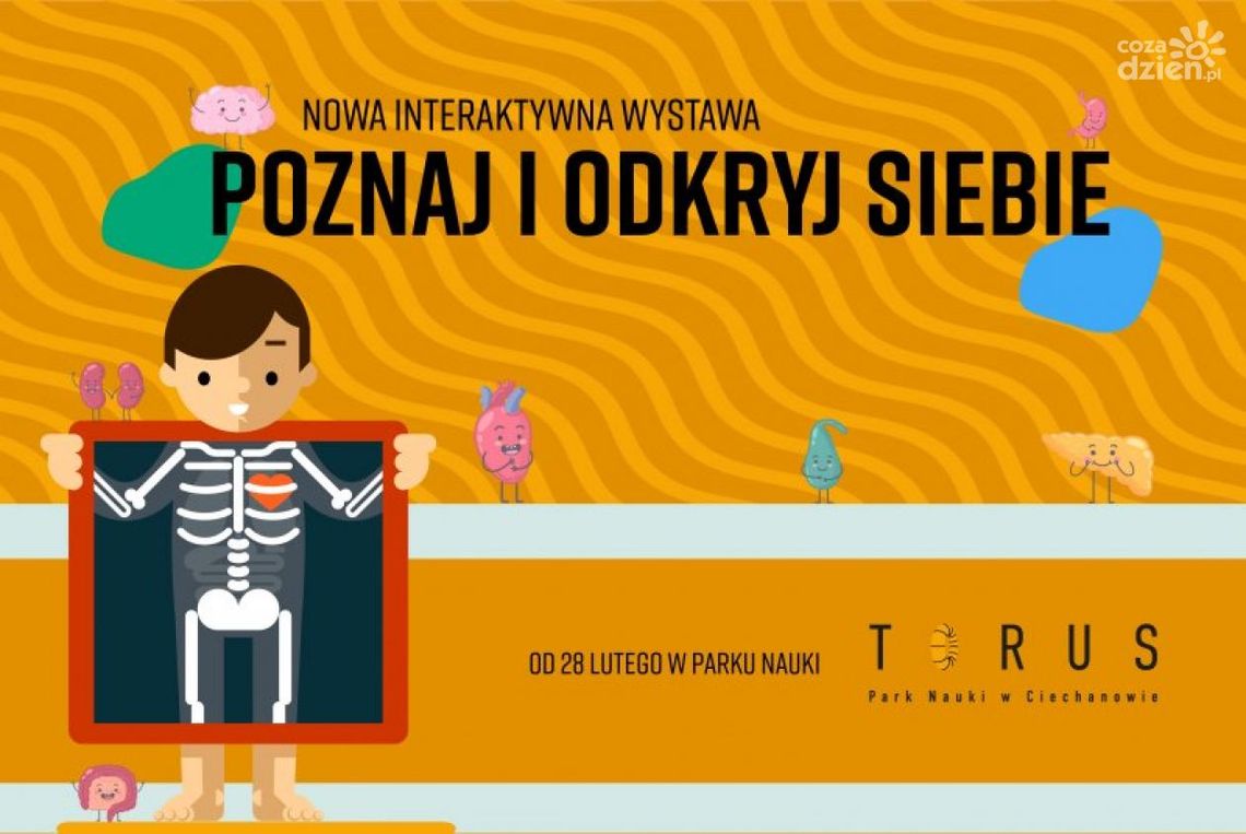 Nowa interaktywna wystawa w Parku Nauki Torus