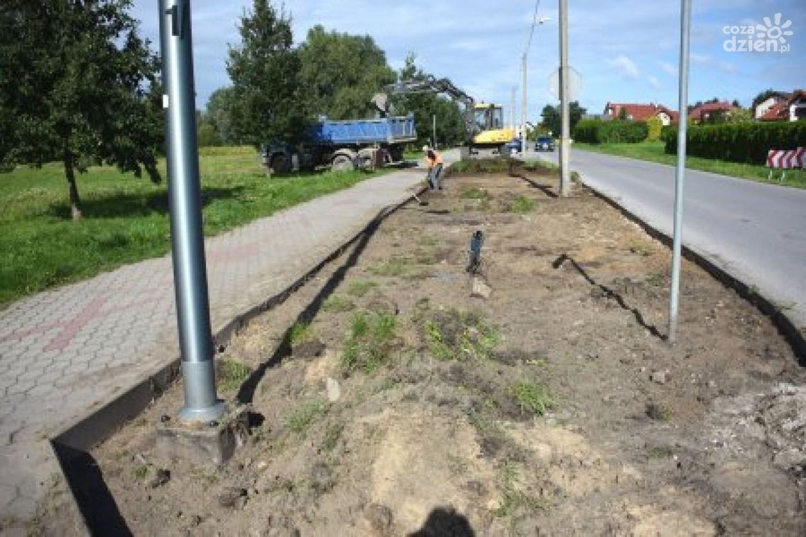 Nowe nasadzenia przy ul. Parkowej w Ciechanowie