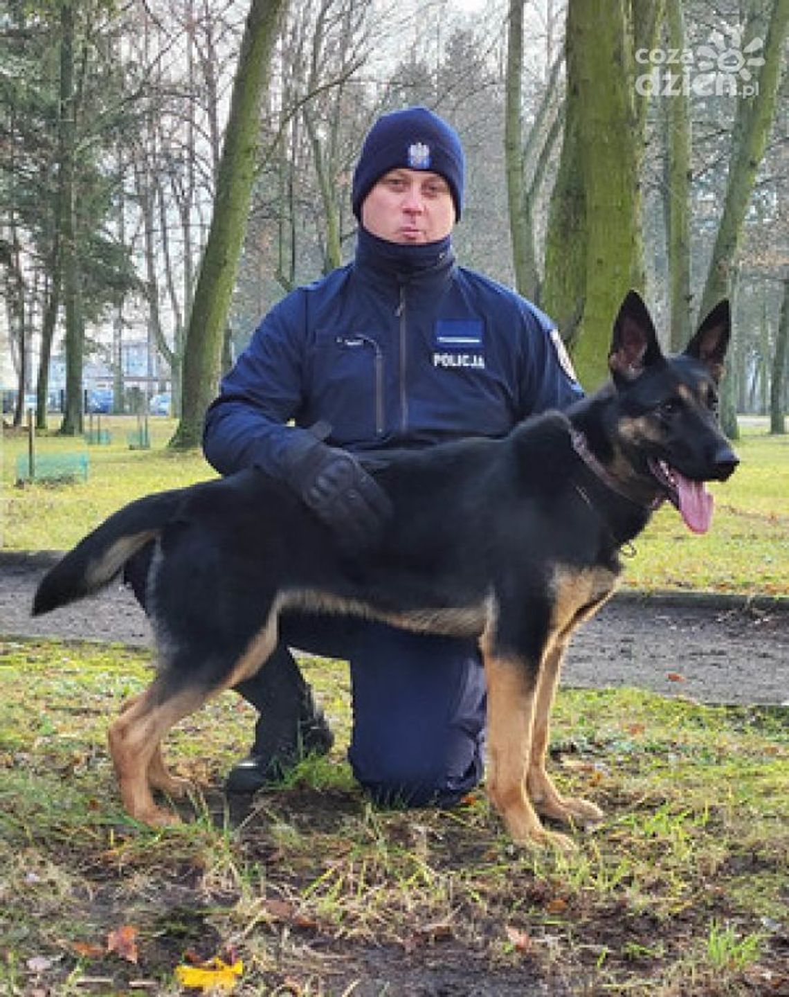 Nowe psy patrolowe w służbie Policji!