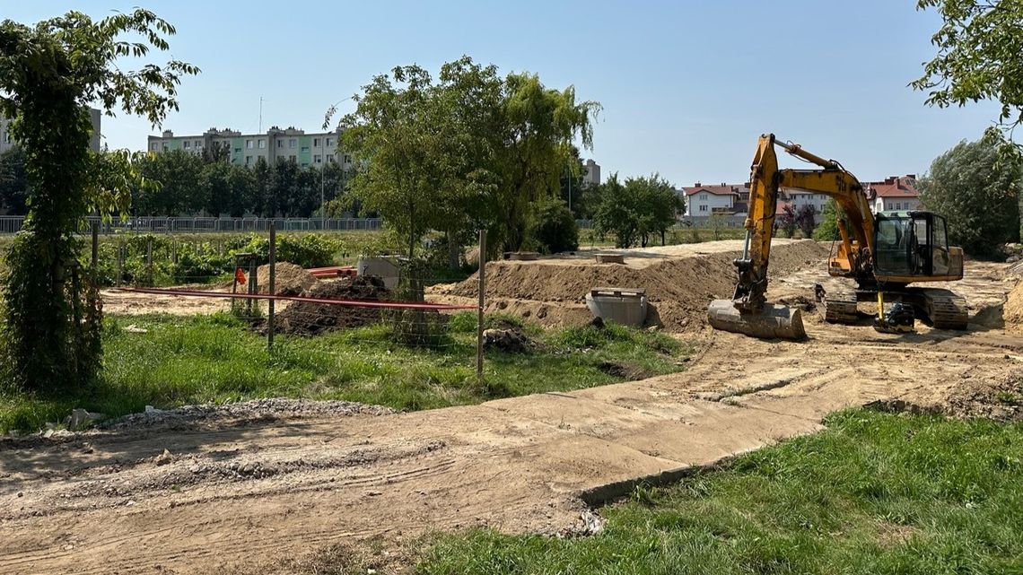 Nowe strefy rekreacji w Płońsku. Powstaje wybieg dla psów i łąka kwietna nad Płonką Nowe strefy rekreacji w Płońsku. Powstaje wybieg dla psów i łąka kwietna nad Płonką