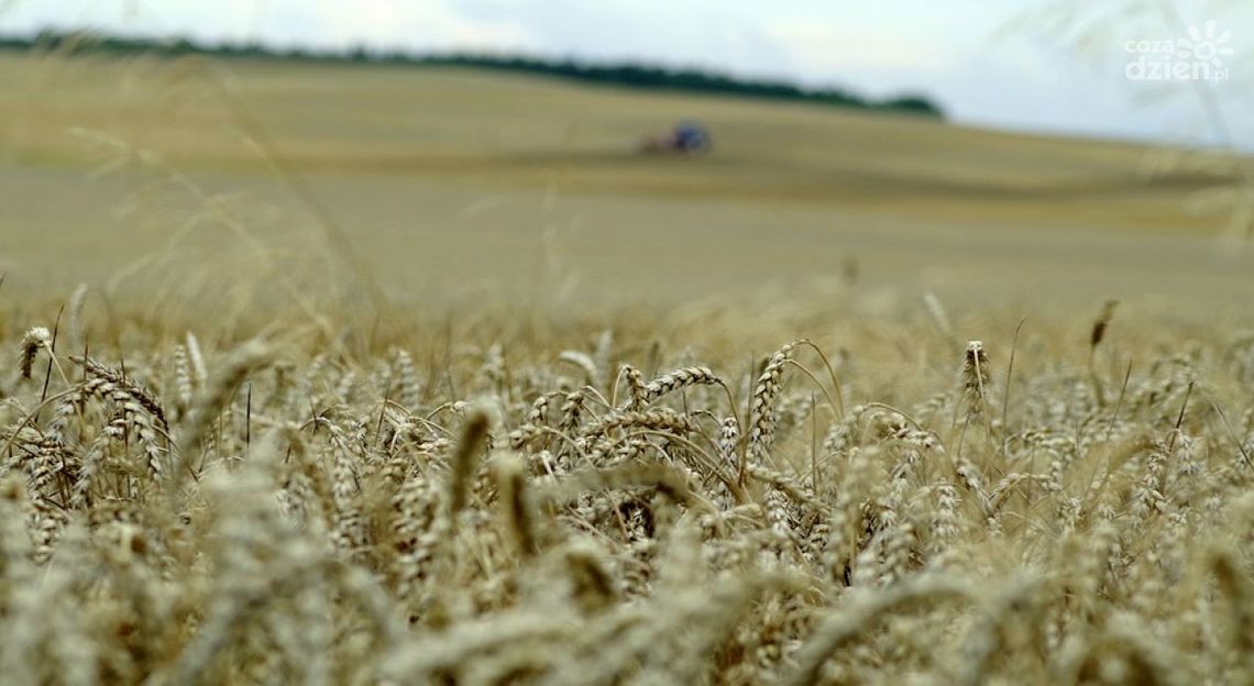 Nowy gospodarz przasnyskich dożynek