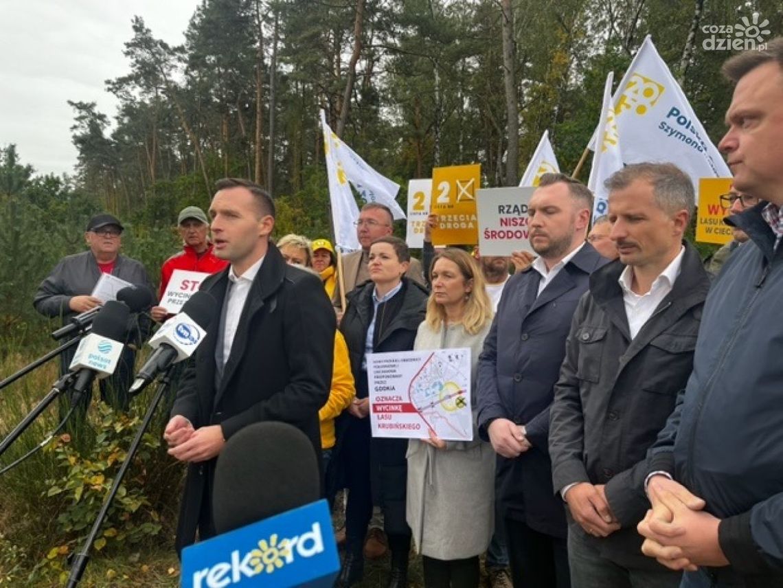 Obwodnica Ciechanowa przez środek Lasu Krubińskiego. Kosiński: To nie jest pierwszy zamach na ten las