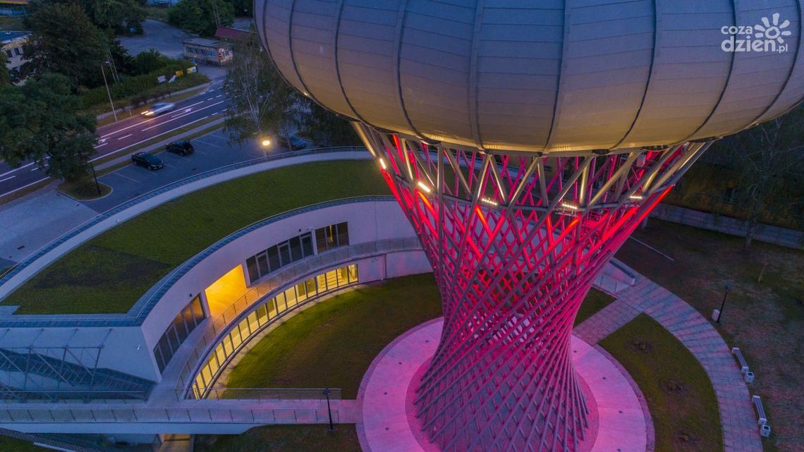 Od marca nowe eksponaty w Parku Nauki Torus