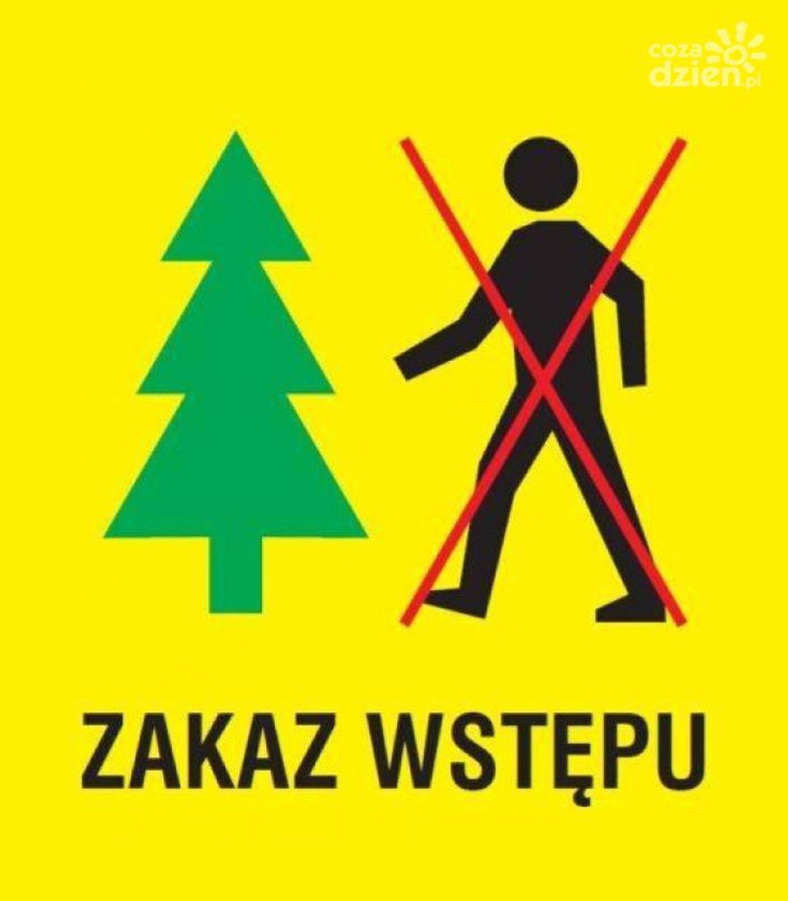 Okresowy zakaz wstępu! Teraz nie wejdziemy legalnie do lasów w regionie