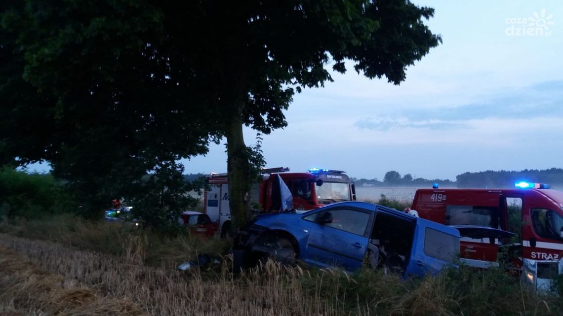 Osobówka uderzyła w drzewo w Karniewie Osobówka uderzyła w drzewo w Karniewie