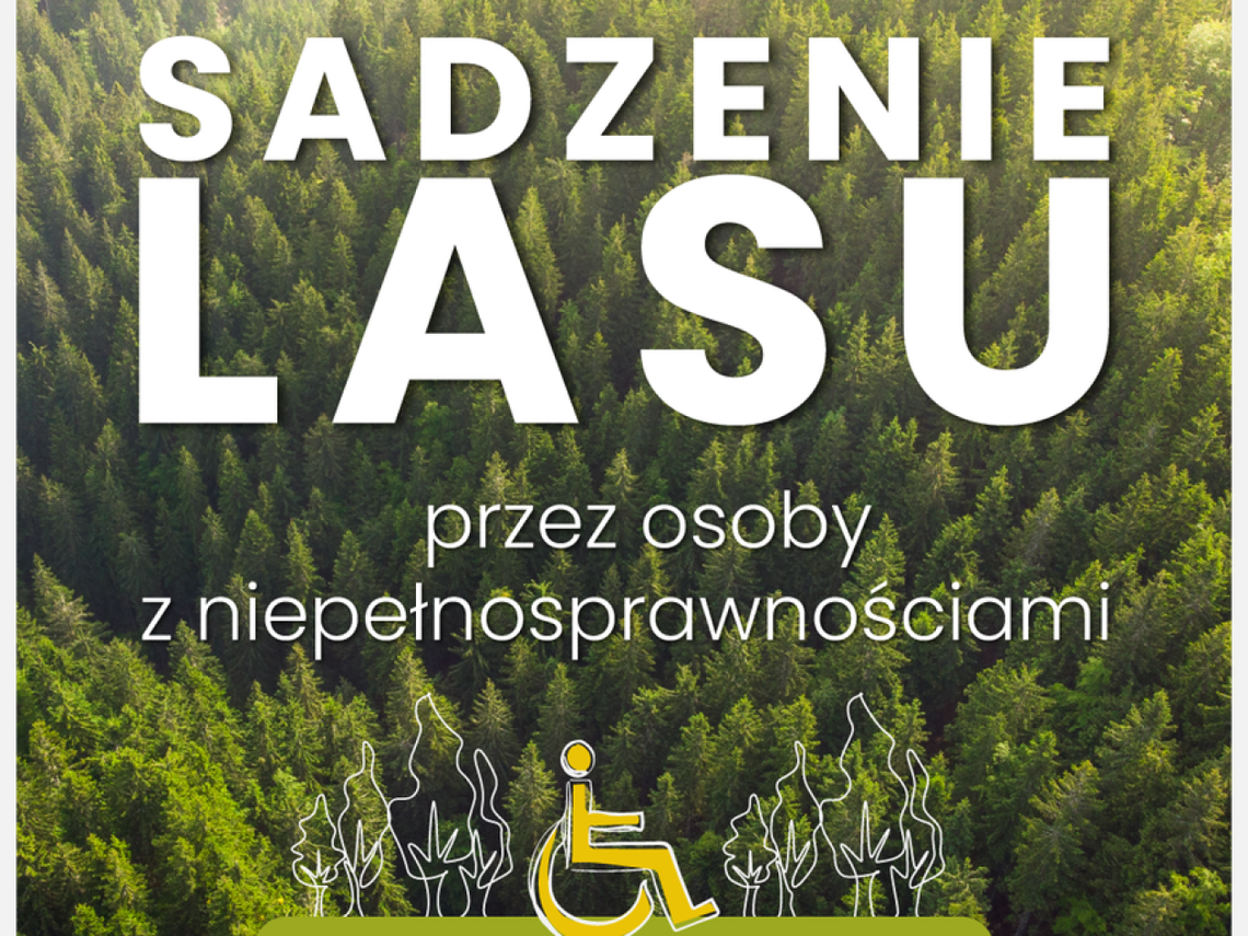 Osoby z niepełnosprawnościami posadzą las