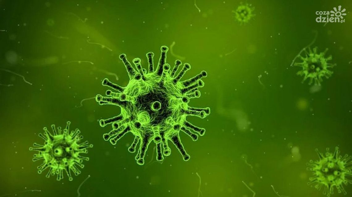 Pacjent z koronawirusem "czuje się coraz lepiej"