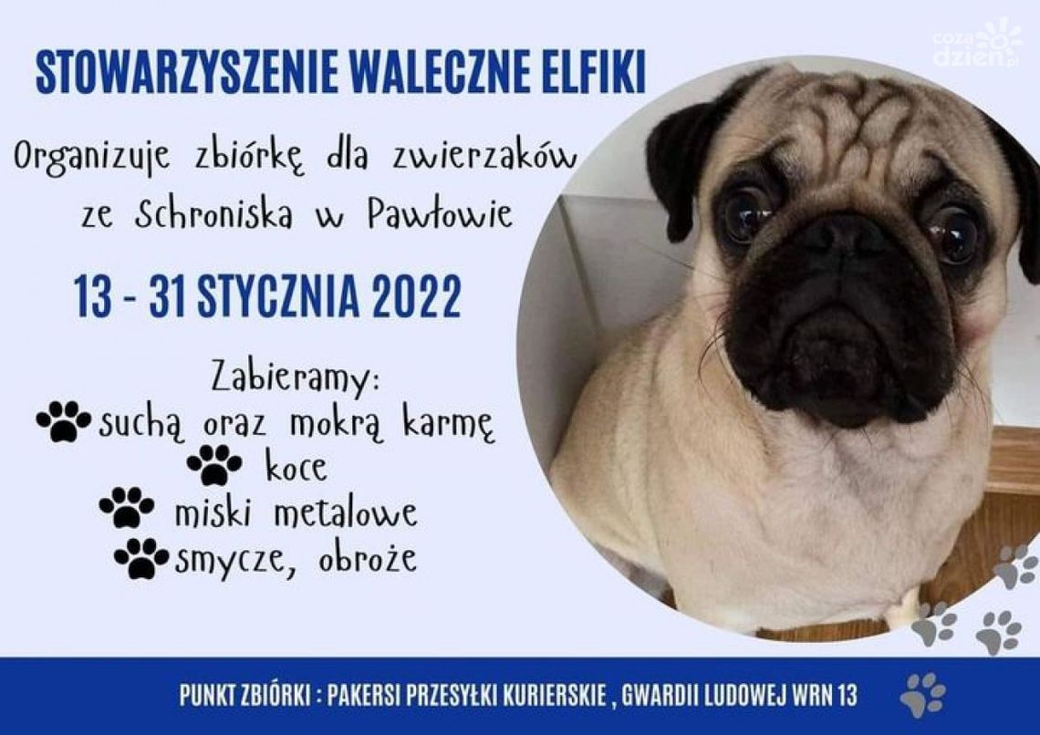 Pakersi łączą siły z Walecznymi Elfikami-wszystko z myślą o psach