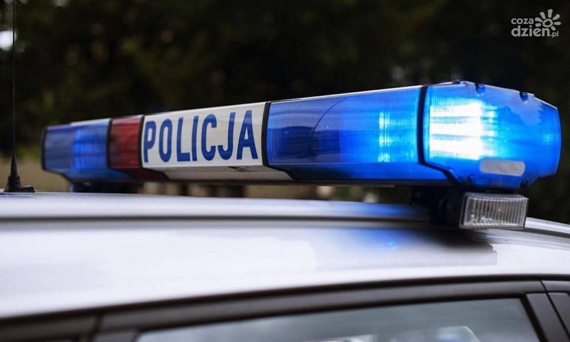 Pijany kierowca wjechał w miejsce kolizji z łosiem. Interweniowała makowska policja