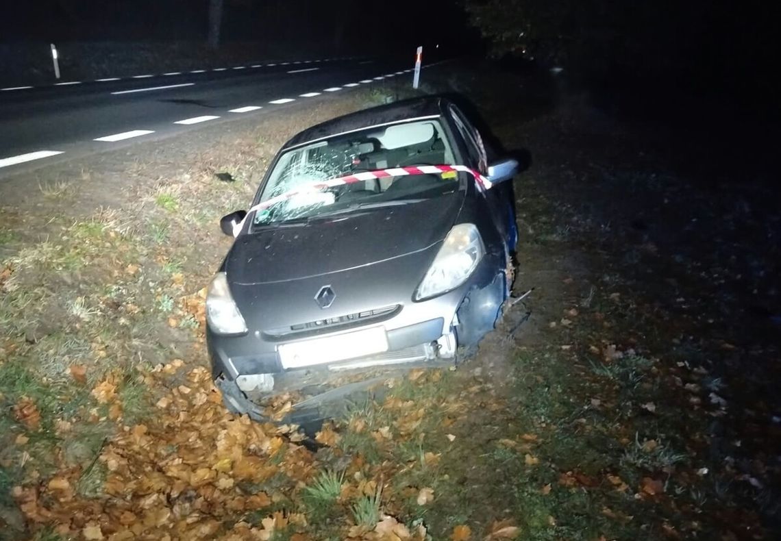 Pijany Peruwiańczyk wjechał Renault do rowu w Dzierżeninie