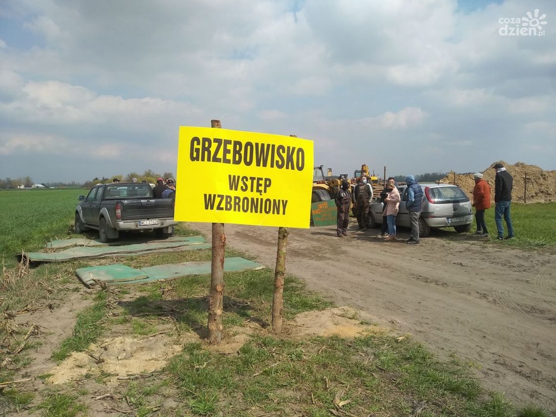 PILNE! Dziś do Zawad Dworskich ma przyjechać kolejny transport padłego drobiu