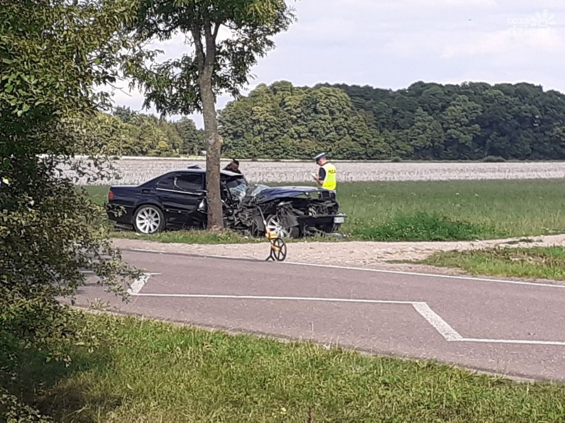 PILNE! Śmiertelny wypadek w Zygmuntowie pod Ciechanowem