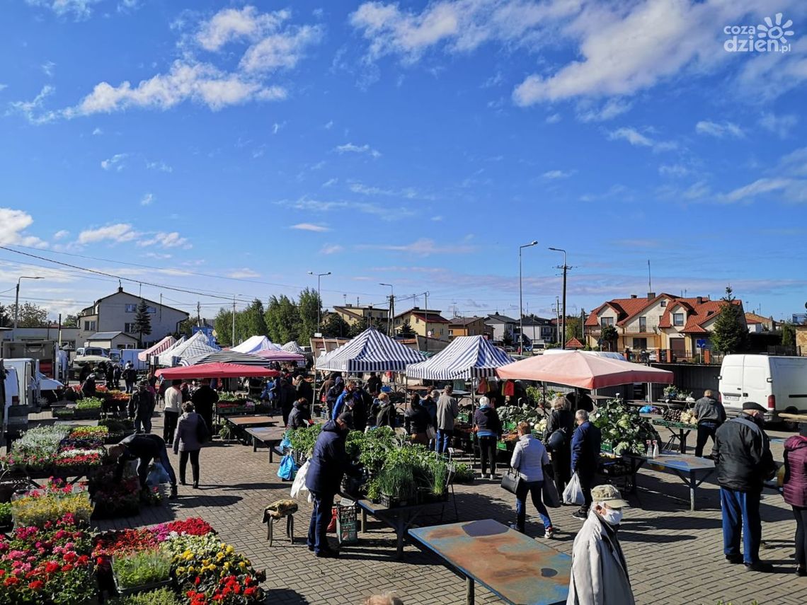 Płońsk. Małe targowisko przejdzie metamorfozę