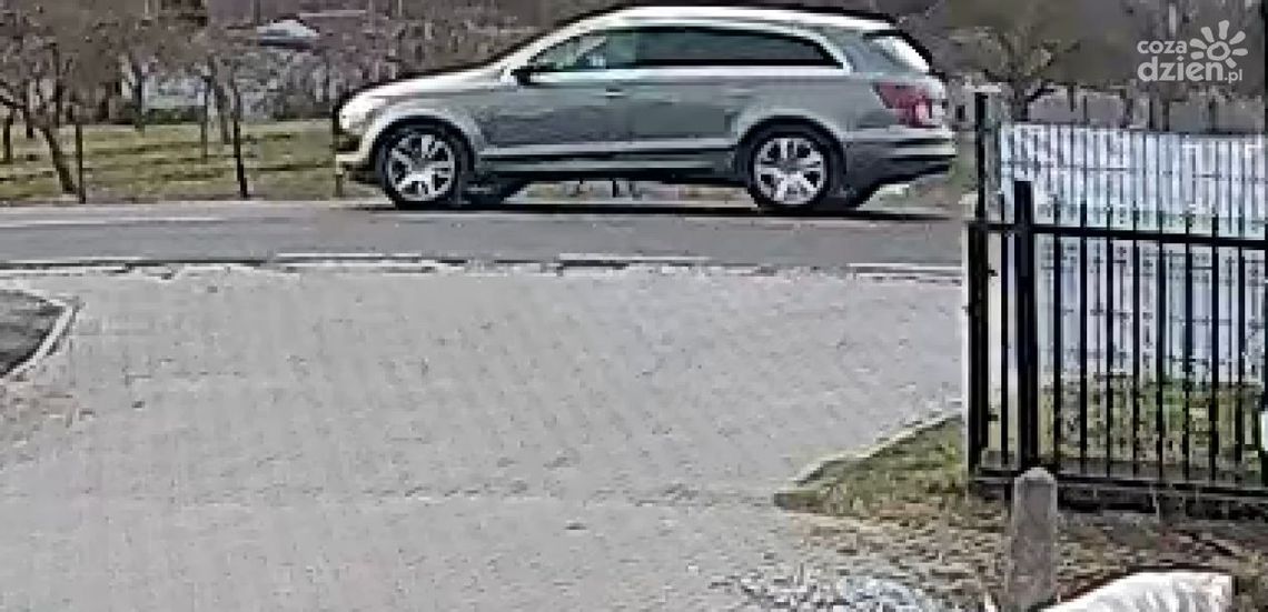 Płońska policja na tropie Audi Q7. Prawdopodobnie tym samochodem śmiertelnie potrącona została rowerzystka