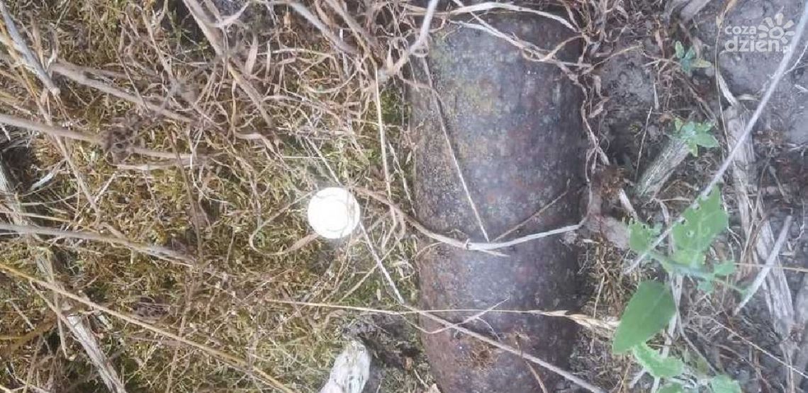 Pocisk artyleryjski znaleziono na jednej z posesji przy ul. Ciechanowskiej w Grudusku