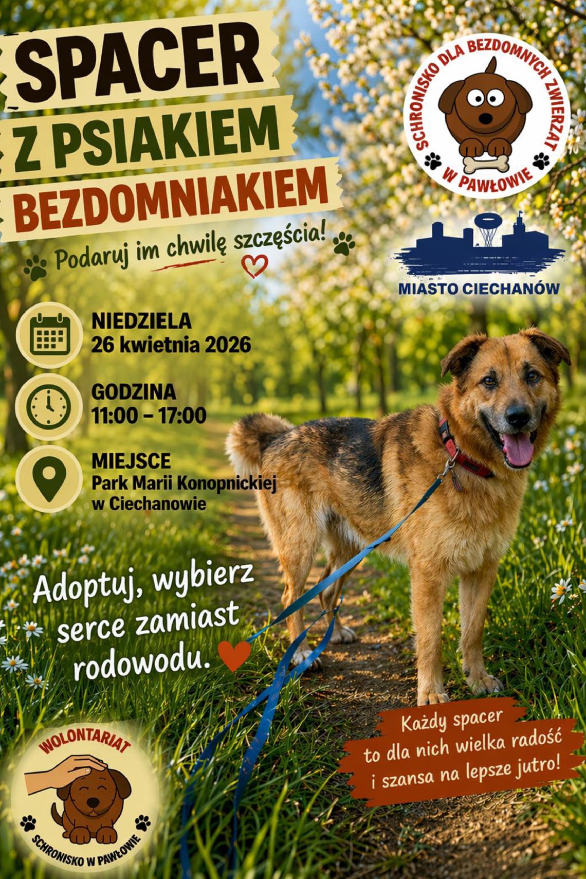 To już szósta edycja „Spaceru z Psiakiem Bezdomniakiem”