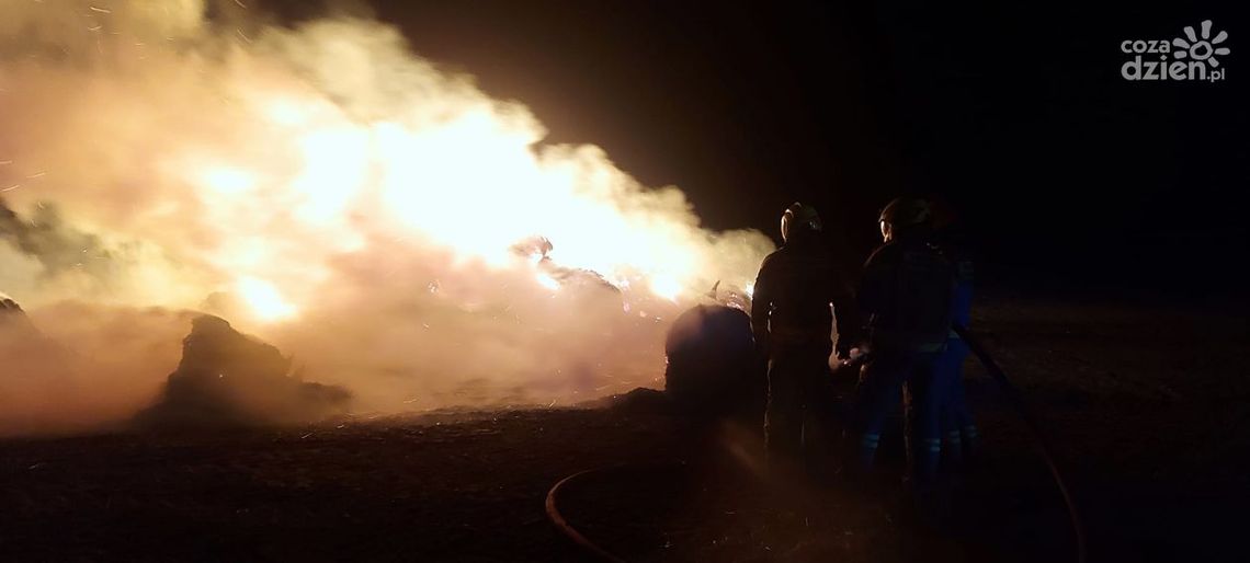 Podpalenie pod Mławą? Sprawę wyjaśnia policja