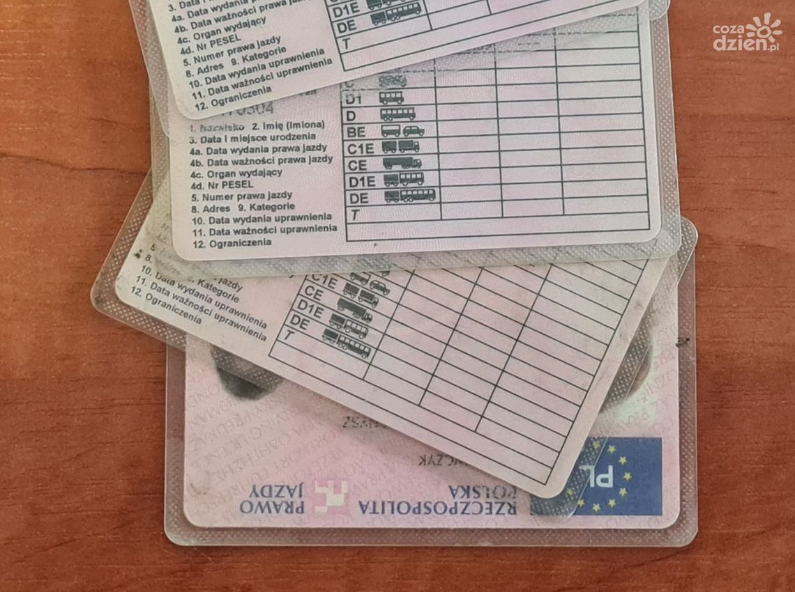 Podrobił prawo jazdy bo nie chciało mu się wyrabiać nowego Podrobił prawo jazdy bo nie chciało mu się wyrabiać nowego
