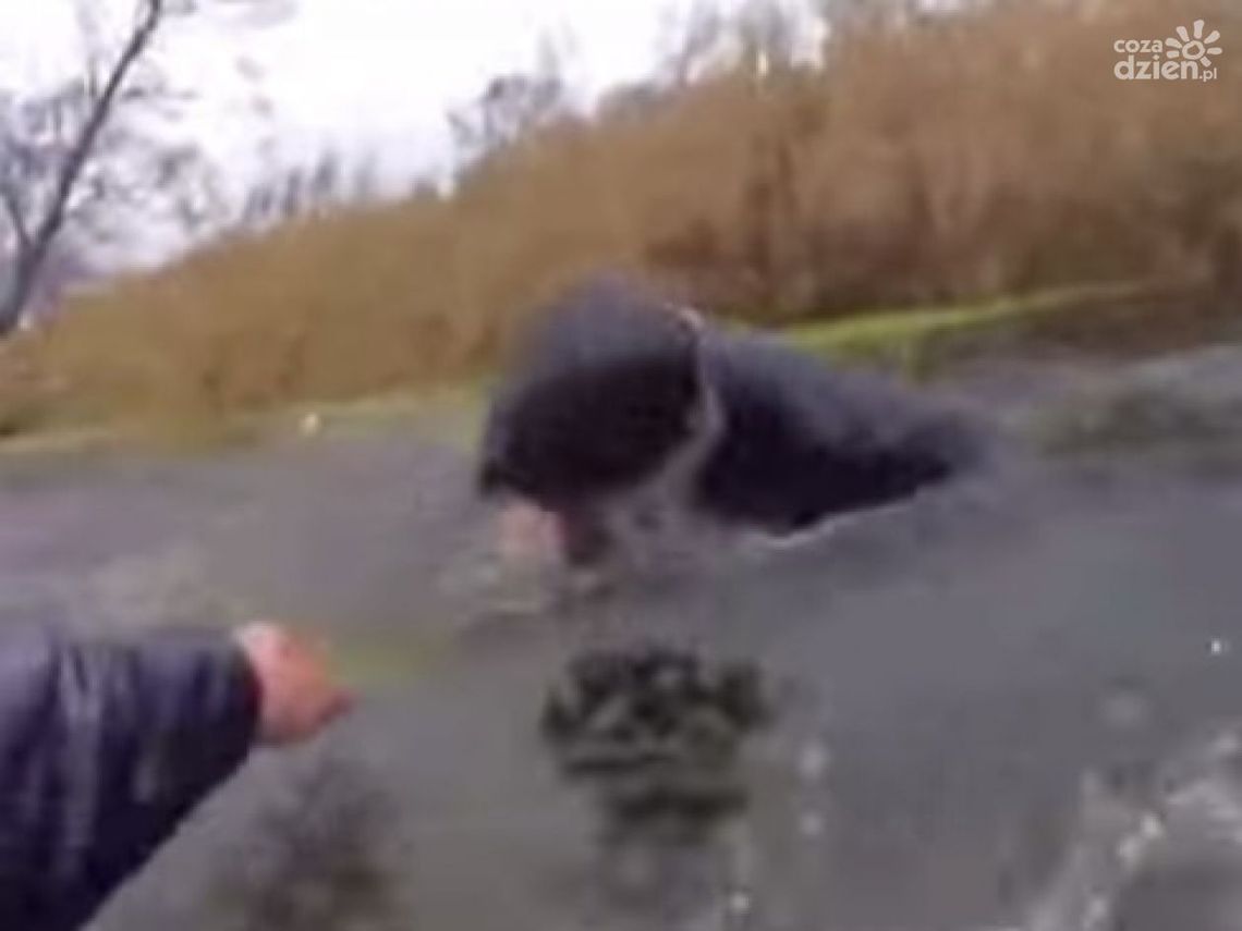 Policjant skacze do rzeki ratować tonącą kobietę [zobacz video] 