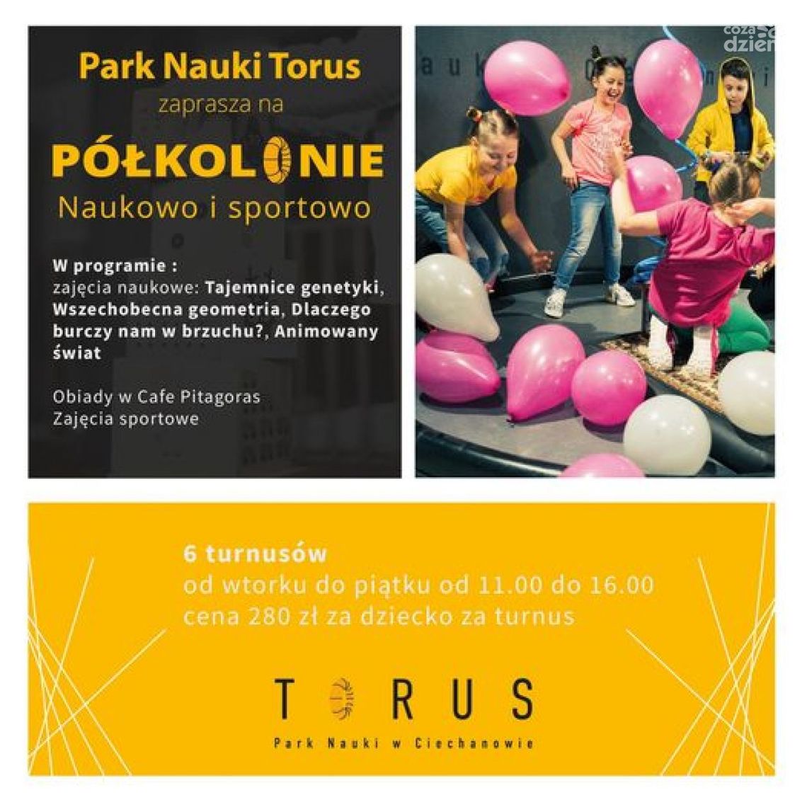 Półkolonie w Parku Nauki Torus. Wolnych miejsc już nie ma!