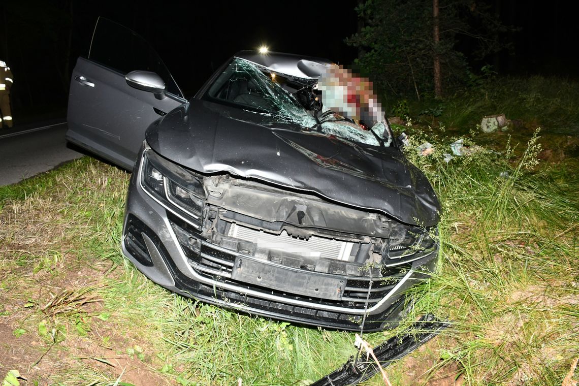Ponad pół tony na masce samochodu. Mieszkaniec Warszawy potrącił łosia w gminie Sochocin