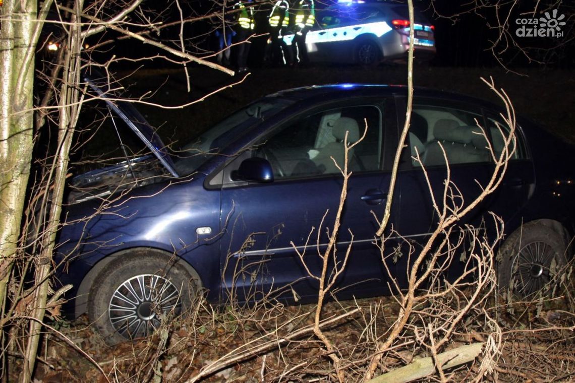 Pościg, narkotyki i próba przekupstwa policjantów. Sceny rodem z filmu akcji na krajowej 7