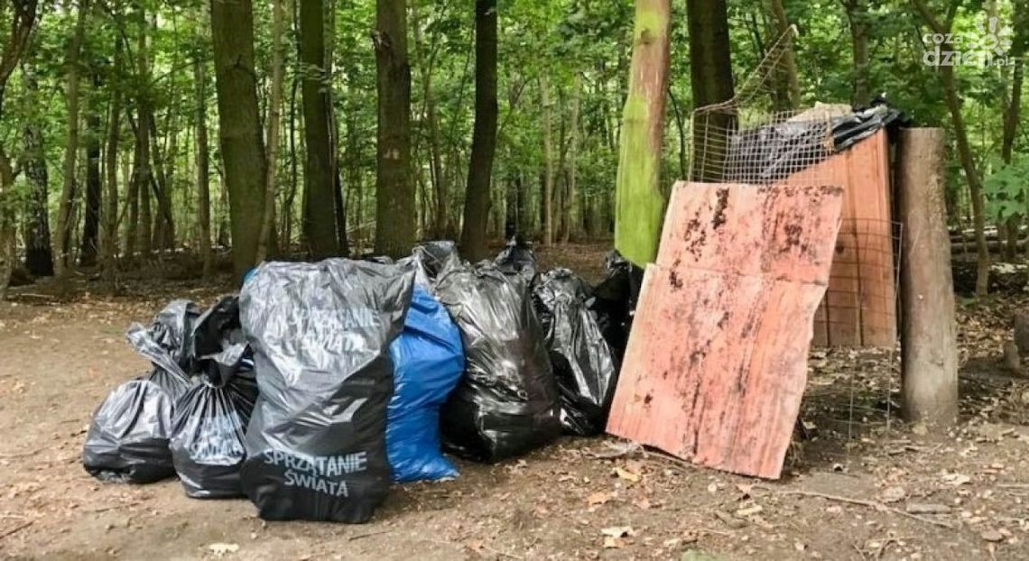 Posprzątają las, już nie pierwszy raz