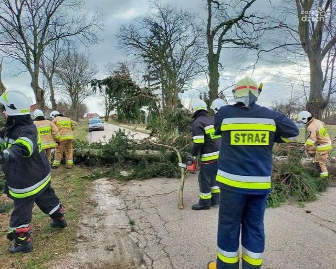 Powiat mławski po wichurze. Ponad 160 interwencji strażaków