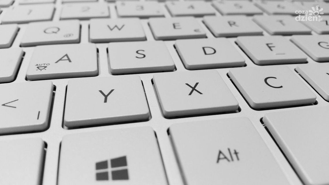 Powiatowy Urząd Pracy organizuje webinarum dla pracodawców