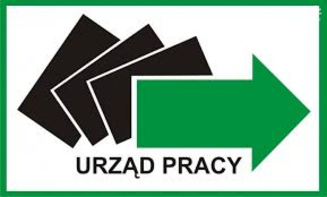 Powiatowy Urząd Pracy w Ciechanowie ma zaktualizowane oferty zatrudnienia 12.04 Powiatowy Urząd Pracy w Ciechanowie ma zaktualizowane oferty zatrudnienia 12.04