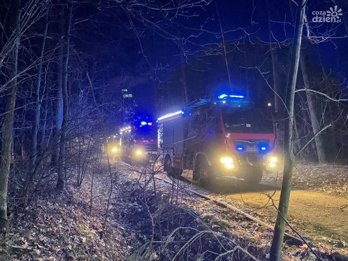 Pożar w Lesie Ościsłowskim. Winowajca już znany!
