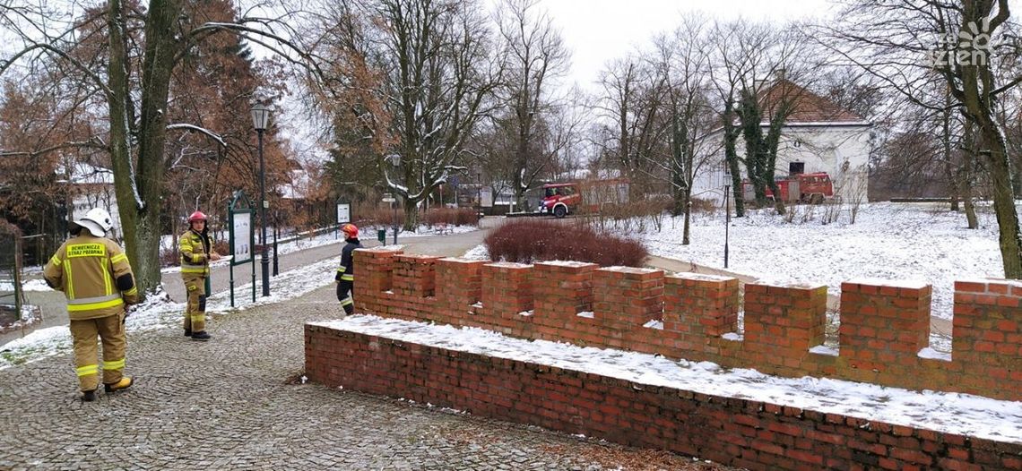 Pożar w Muzeum Romantyzmu w Opinogórze?
Interweniowała straż pożarna!