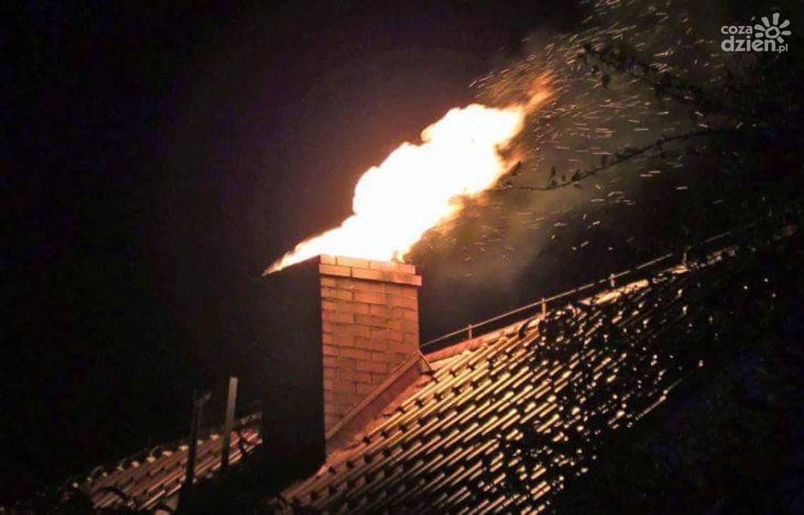 Pożar w Szyjkach. Zapaliły się sadze