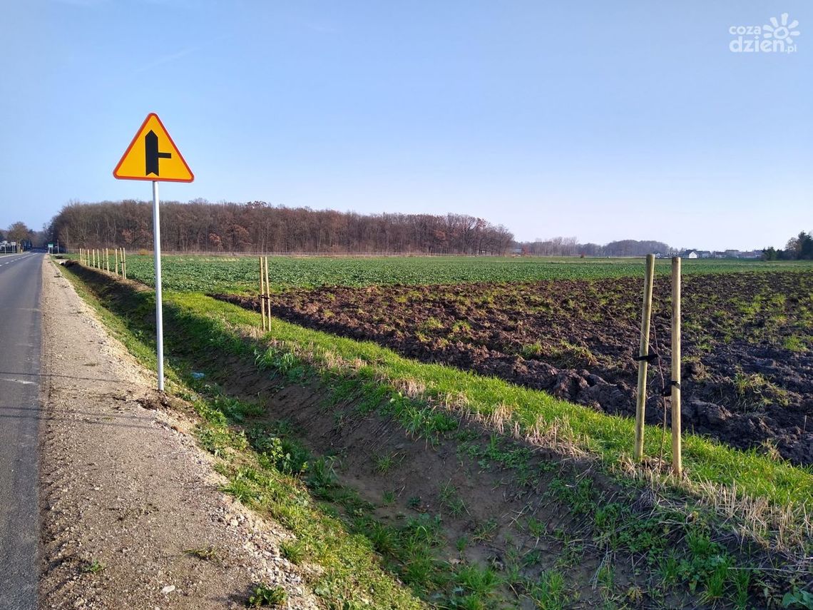 Projekt Leśnej był źle przygotowany. PZD unieważnił przetarg